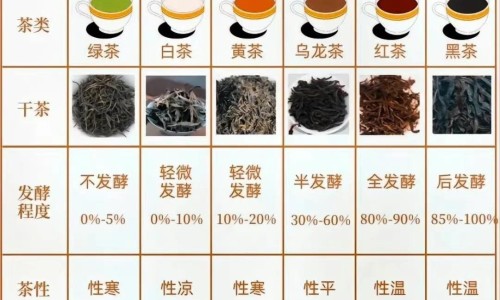 邦达吊瓶治什么病-邦达注射液说明书网—知名的邦达说明书用法用量网站,分享邦达药的作用知识